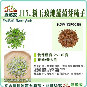 【綠藝家】J17.粉玉玫瑰蘿蔔芽種子9.5克(約900顆)產地義大利 芽菜種子 芽苗種子 菜苗種子 生長迅速