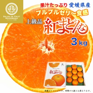 [予約 12月31日必着] 紅まどんな 3kg 愛媛県 化粧箱 冬ギフト お歳暮 御歳暮 大晦日必着