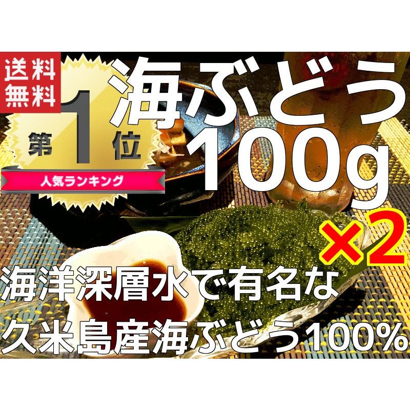 みやぎ商店 久米島産海ぶどう100g×2個セット 海ぶどう 沖縄 海洋深層水 で有名な久米島産海ぶどう100％ お土産 ポイント消化