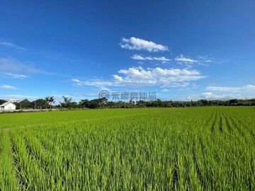 花蓮吉安產業新都發展軸心乙工建地14E137｜花蓮縣吉安鄉吉興段