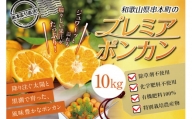  濃厚な甘さ！くしもとポンカン L～2Lサイズ 10kg 柑橘 ぽんかん フルーツ みかん ミカン オレンジ 限定 有機率100%肥料 節減対象農薬不使用 化学肥料不使用