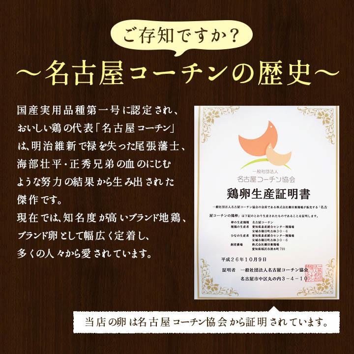 二種食べ比べセット商品 高級名古屋コーチンの卵（20個入り）＋くしたま赤卵（20個入り） 送料無料 合計40個入り(内破卵保障4個含む) 食品 卵 鶏卵 玉子 たまご