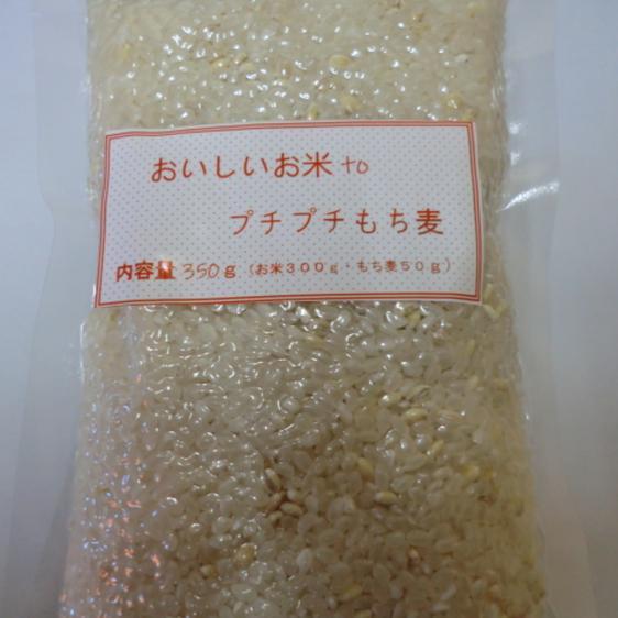 米・穀物 雑穀  もち麦入り米350ｇ 産地直送