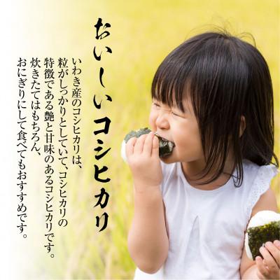 ふるさと納税 いわき市 いわき市産　コシヒカリ　もち米　お米　精米5kg・もち米3kg　食べ比べ