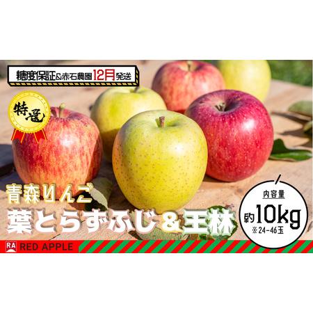 ふるさと納税 13度糖度保証 特選 蜜入り葉とらずふじ＆王林 約10kg 青森県弘前市