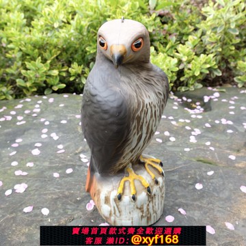 {可打統編 保固一年}花園裝飾果園戶外趕鳥嚇鳥菜園多肉防鳥驅鳥神器老鷹幼鷹陽臺家用