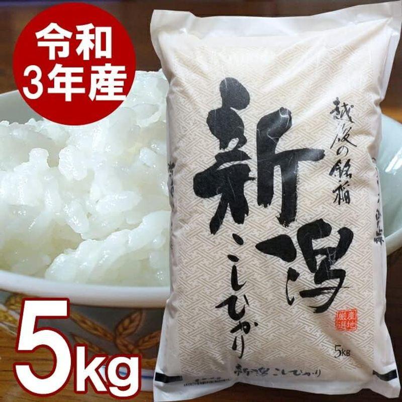 新潟産 コシヒカリ 5kg 新潟県産 5キロ お米 令和4年 新米 精米 白米