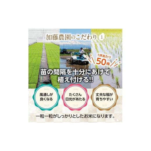 ふるさと納税 山形県 酒田市 SE0192　令和5年産 無洗米 雪若丸　5kg×6回(計30kg)「農家直送」 KA