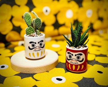 【新年首選限定】紅白達摩系列_限量進口_日本職人手作__過年禮盒