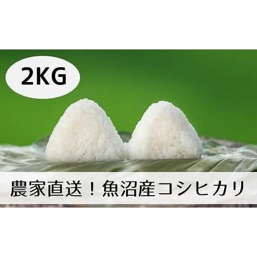 ふるさと納税 新潟県 十日町市 新潟県魚沼産コシヒカリ「山清水米」精米２kg(2kg×1袋)