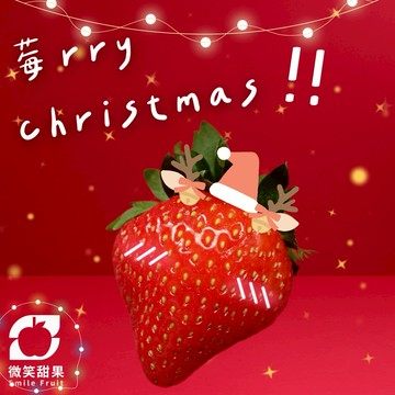 聖誕交換禮物【微笑甜果】紐西蘭草莓禮盒｜紐西蘭草莓・進口草莓・草莓禮盒