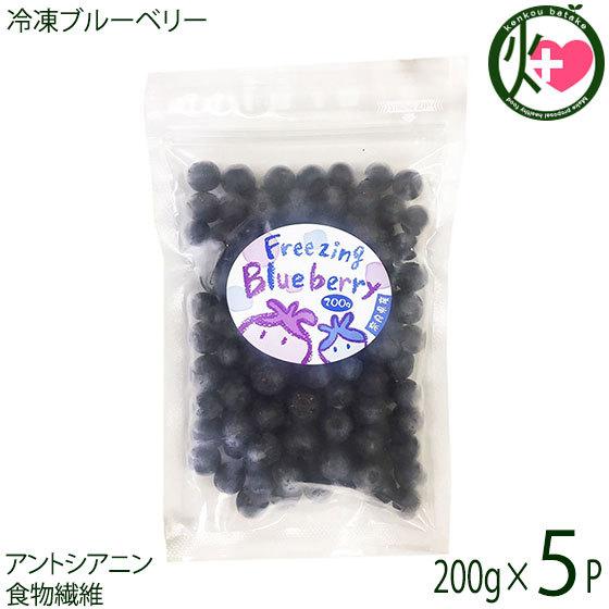 冷凍ブルーベリー200g×5P 堀うち農園 無農薬栽培 安心 安全