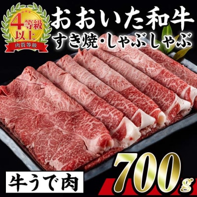 おおいた 和牛 すき焼き しゃぶしゃぶ用 百年の恵み (700g・ウデ肉)