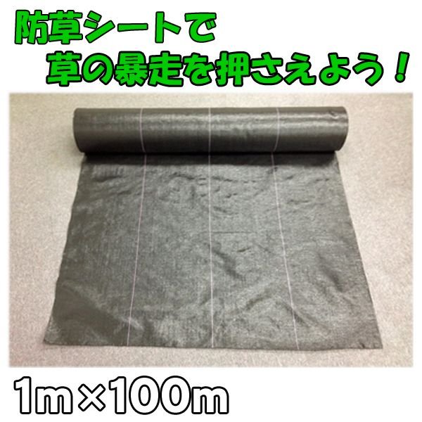 防草シート　　100m（幅100cm）　農業資材