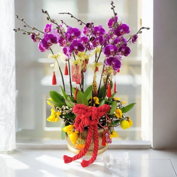 格蘭花店 - 大財主蝴蝶蘭10棵配喜慶掛飾 (GF00304)