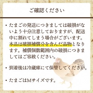 JAむなかたよりお届け！宗像たまご60個（55個＋補償5個）_PA0916