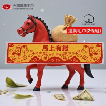 【台灣興隆毛巾】馬上有錢 雙色提花窄版美國棉運動毛巾/運動巾 (2條組) 2026新春新品