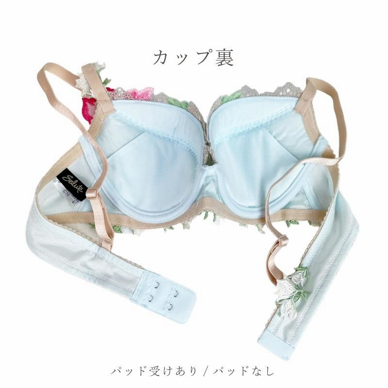 salute サルート 11G 11グループ F85 IV P-UP セット
