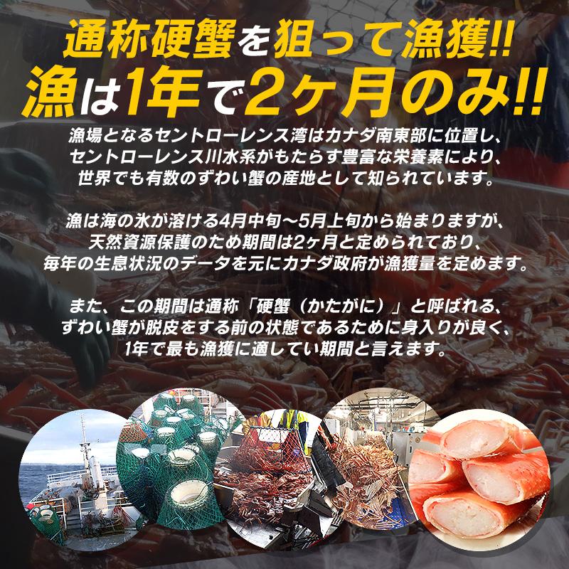 かに カニ 蟹 姿 ズワイガニ 3kg （5〜7杯入り） ズワイガニ姿 姿かに 姿ズワイガニ ずわい蟹 ずわいがに ボイル 冷凍 送料無料 お歳暮 ギフト