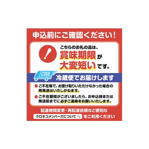 ふるさと納税 北海道 白糠町 しらぬか産 茹でたて中サイズ毛がに