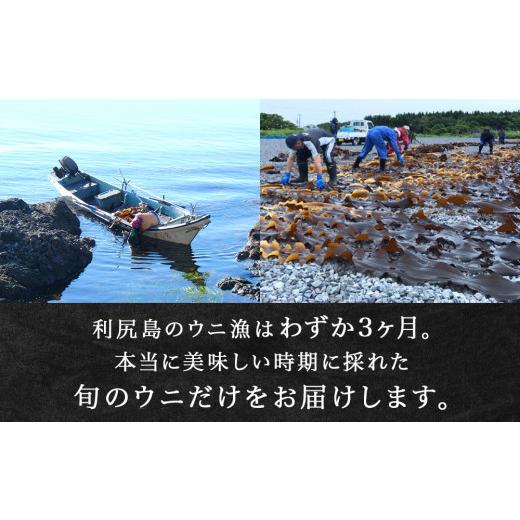 ふるさと納税 北海道 利尻富士町  ムラサキウニ1パック 9月発送分 利尻漁業協同組合