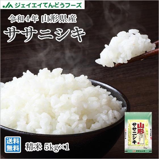 お米 5kg 新米 ササニシキ 山形県産 令和5年産 精米 お米 rys0505