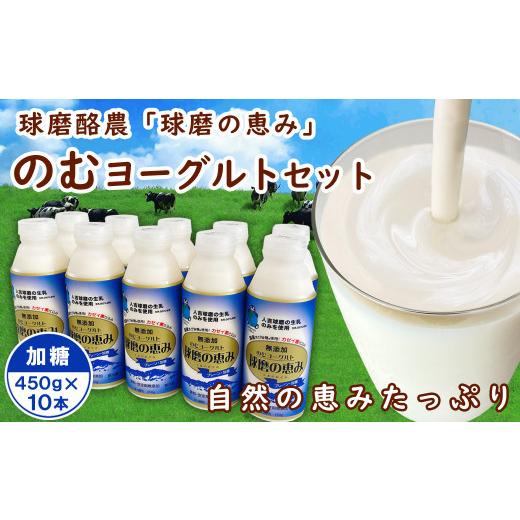 ふるさと納税 熊本県 あさぎり町 球磨の恵み「のむヨーグルト」加糖450g×10本セット