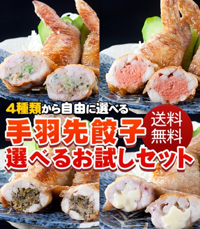 手羽先餃子 選べる お試し セット(5本5P) 焼き鳥屋の手羽先 お惣菜 バーベキュー