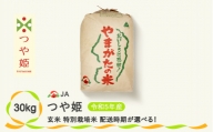 令和5年産 玄米 特別栽培米 つや姫 30kg 12月下旬発送 ja-tsgta30-12s