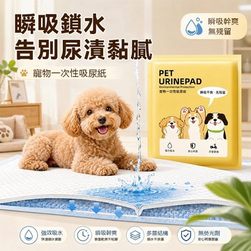 現貨速發 寵物吸水尿墊｜瞬吸瞬乾 無殘留｜貓狗尿布墊 車用/外出/室內訓練墊 一包搞 寵物尿墊 一次 性吸水墊｜加厚強效