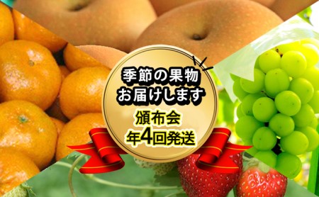 フルーツ 特産果実 定期便 年間4回 お楽しみ 果物