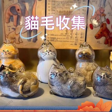 台灣出貨🔥透明貓毛收納盒吊飾扭蛋貓咪毛髮存放膠囊扭蛋包鑰匙扣掛件收藏 貓毛扭蛋透明貓毛收納盒貓毛扭蛋吊飾扭蛋貓 4WG