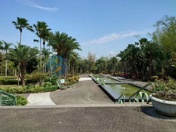 小港大坪頂大面寬美建地｜高雄市小港區坪頂段