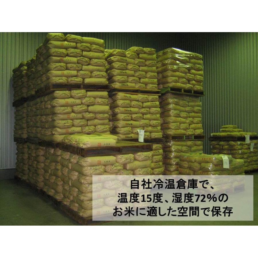 「ふくしまプライド。体感キャンペーン（お米）」令和5年産新米  10kg(5kg×2)白米 ひとめぼれ 会津産 一等米（産地直送・送料無料地域あり）