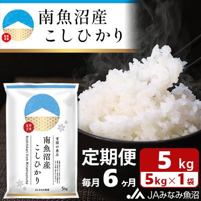 ふるさと納税 南魚沼市 南魚沼産こしひかり 精米 5kg 全6回