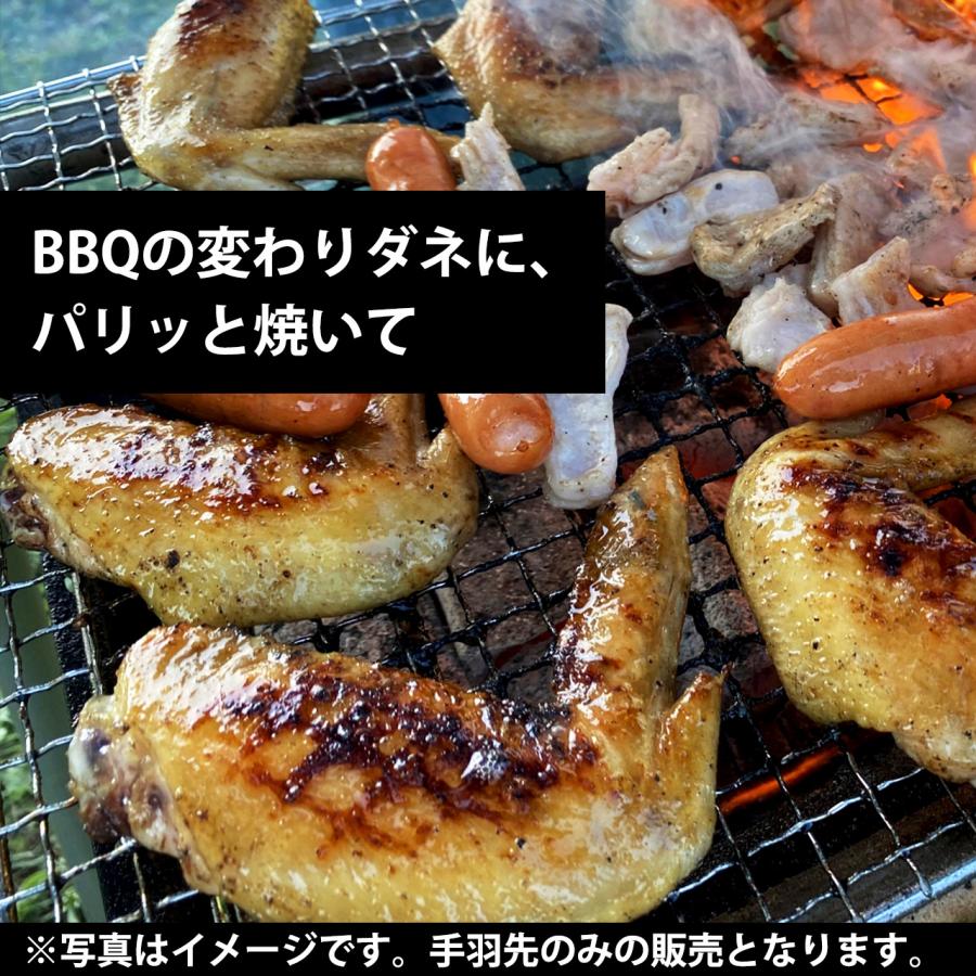 名古屋コーチン 手羽先 精肉 2kg 生肉 鶏肉 国産 地鶏 業務用