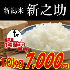 新潟 新之助１0kg 玄米,白米,分搗き選択可能