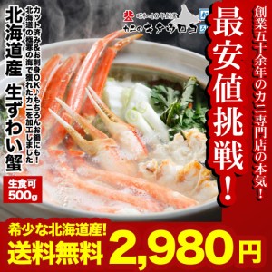 カニ かに 蟹 お刺身OK 北海道産 ご自宅用 カット済み生ズワイガニ 内容量375g   総重量500g ※小振りサイズです かにしゃぶ 刺身 送料無