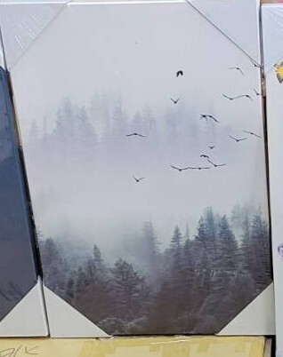 沐浴森林無框掛畫(福利品)