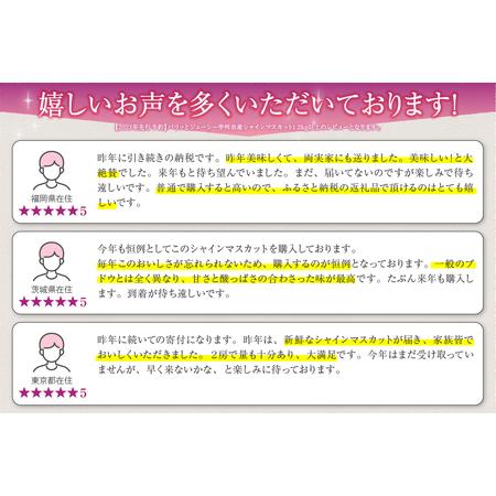 ふるさと納税 パリッとジューシー甲州市産シャインマスカット1.2kg以上（TMK）B-420 山梨県甲州市