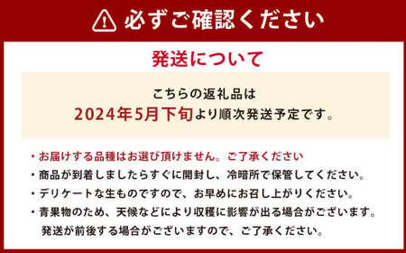  熊本県産 小玉すいか＆アールスメロン 各1玉 すいか アールスメロン メロン 果物 くだもの フルーツ 西瓜