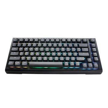 Ducky ProjectD Tinker 75% 客製化機械式中文鍵盤 RGB 熱插拔 原廠保固  茶軸  Cherry PKTI2383AST-CBTWPDOECLAAW1  經典黑  1個