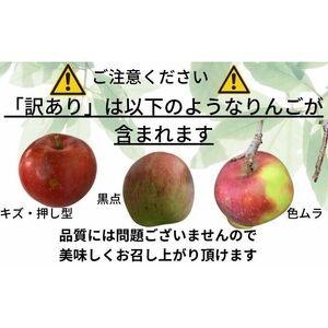 ふるさと納税 3月発送  家庭用 百年木の香 三上農園 サンふじ 約5kg 有機肥料100％ 青森県弘前市