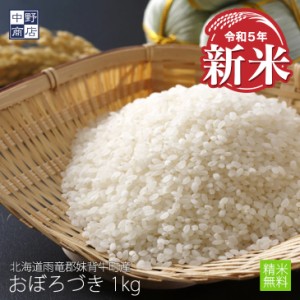 新米 無農薬 米 玄米 北海道産 おぼろづき 1kg 特別栽培米（節減対象農薬 栽培期間中不使用 化学肥料（窒素肥料）栽培期間中不使用） 雨