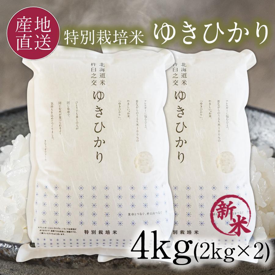 新米 特別栽培米 ゆきひかり 白米 4kg 減農薬 農家直送 令和5年産 北海道産米 送料無料 12 10はクーポンで5％OFF