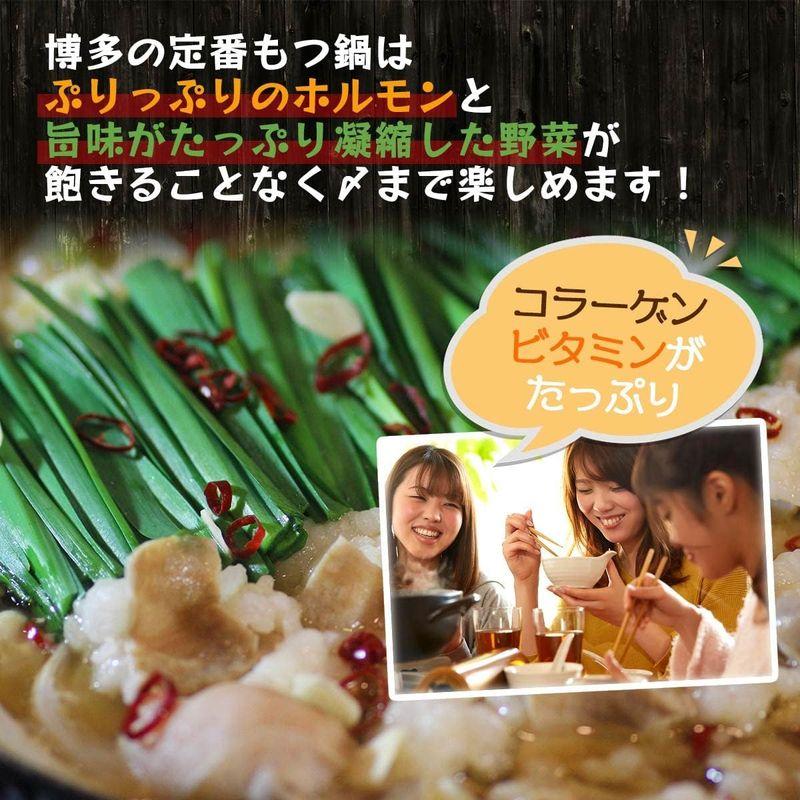 独楽 特撰博多もつ鍋セット 醤油味 4?5人前 500g