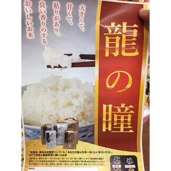 令和５年産 龍の瞳(いのちの壱) コシヒカリの1.5倍の大きさ「奇跡の米」 岐阜県産 (玄米） 5kg　精米無料