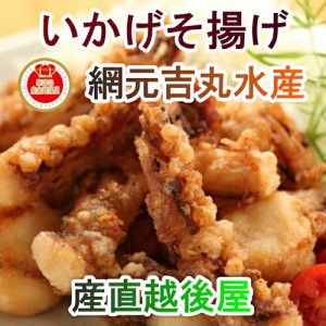  鳥取県 境港市 網元吉丸水産 いかげそ竜田揚げ 200g 5パック 冷凍保存