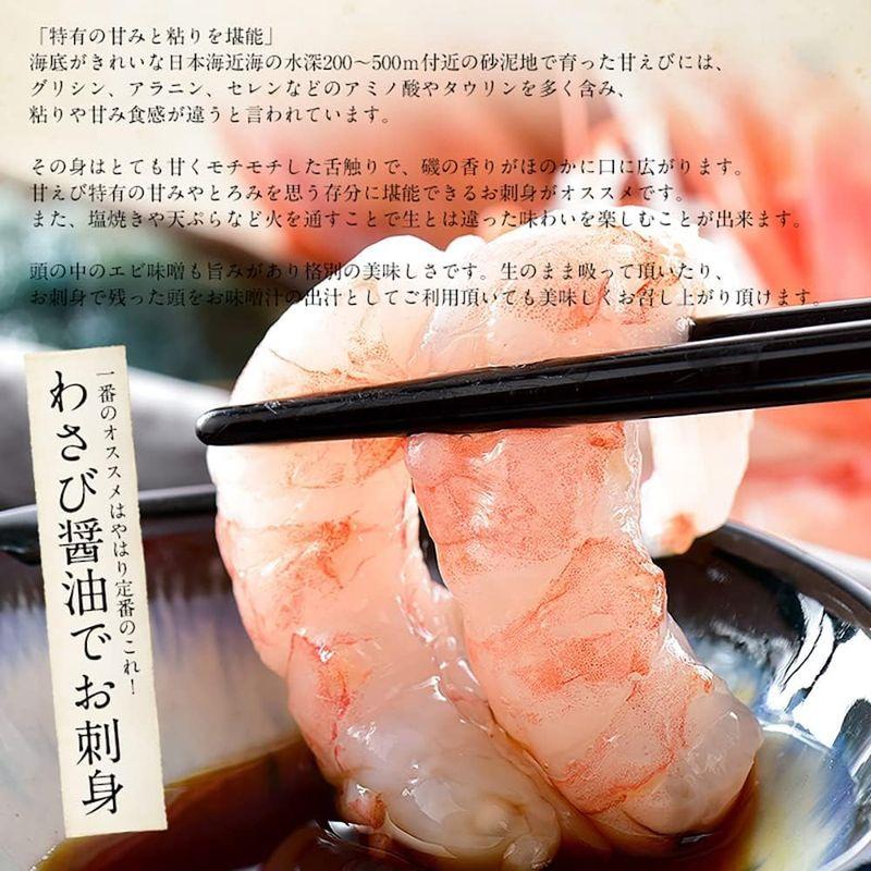 父の日 ギフト 港ダイニングしおそう 甘エビ 子持ち 特大サイズ 500g（約30尾入り） 刺身用 越前産 甘えび 海老 えび エビ 贈り物