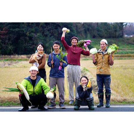 ふるさと納税 京都・京丹後 野菜セット旬の京丹後野菜セットS（栽培期間中　お試しサイズ・農薬・化学肥料不使用）＜京都 .. 京都府京丹後市